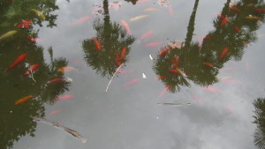 Kleiner Teich im Park